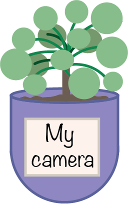 my camera