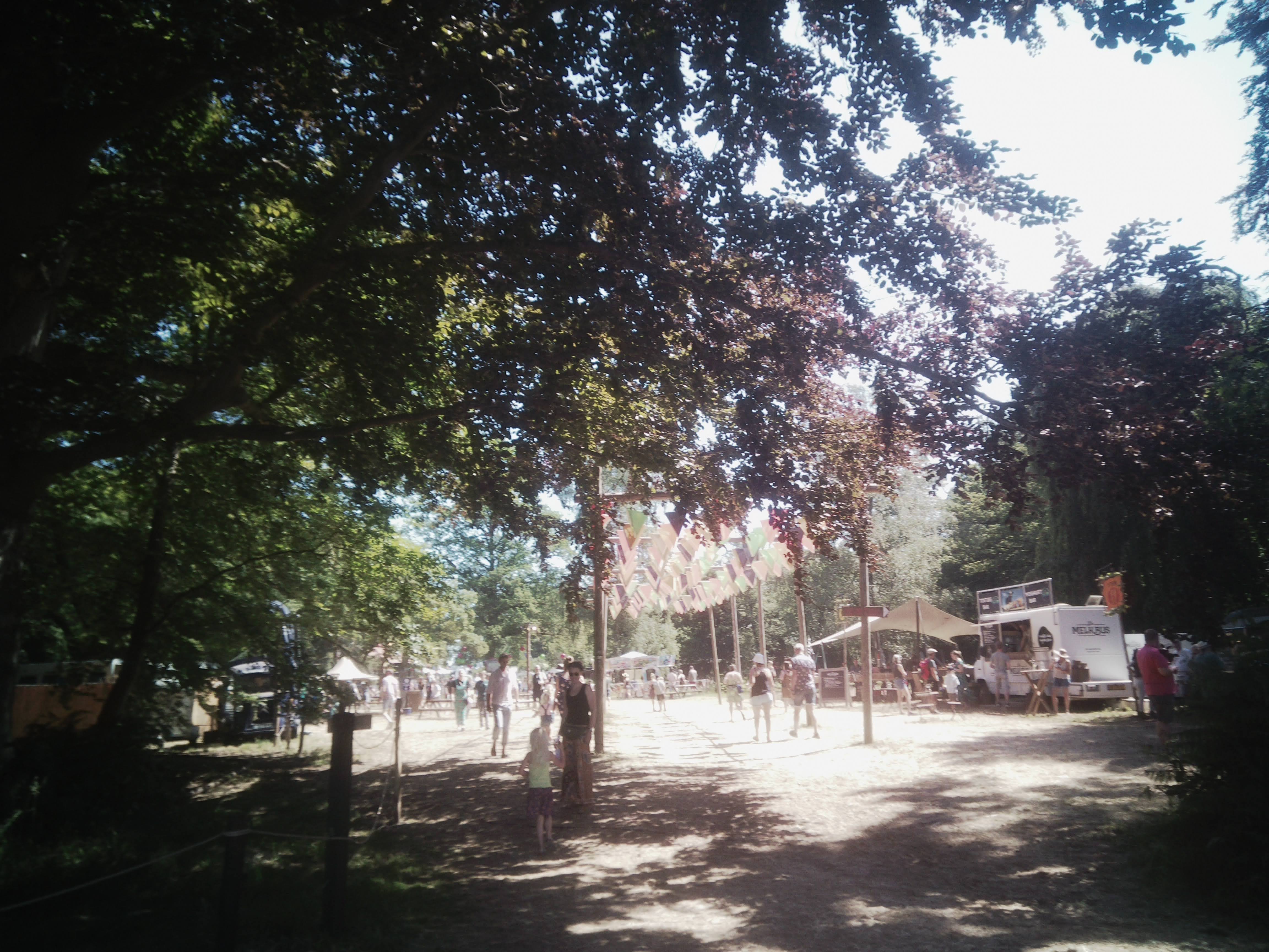 Festival Manana Manana