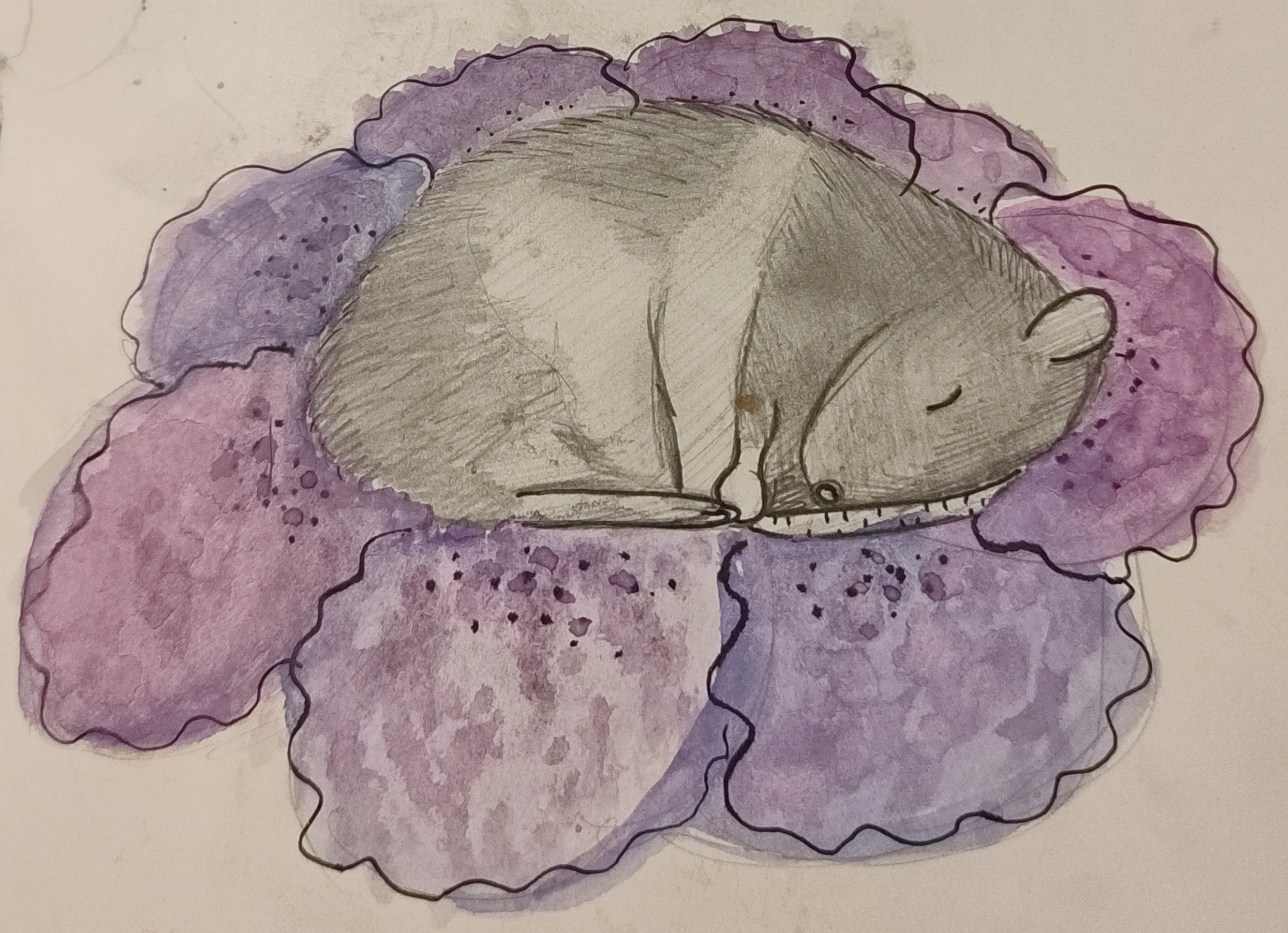 watercolor rat