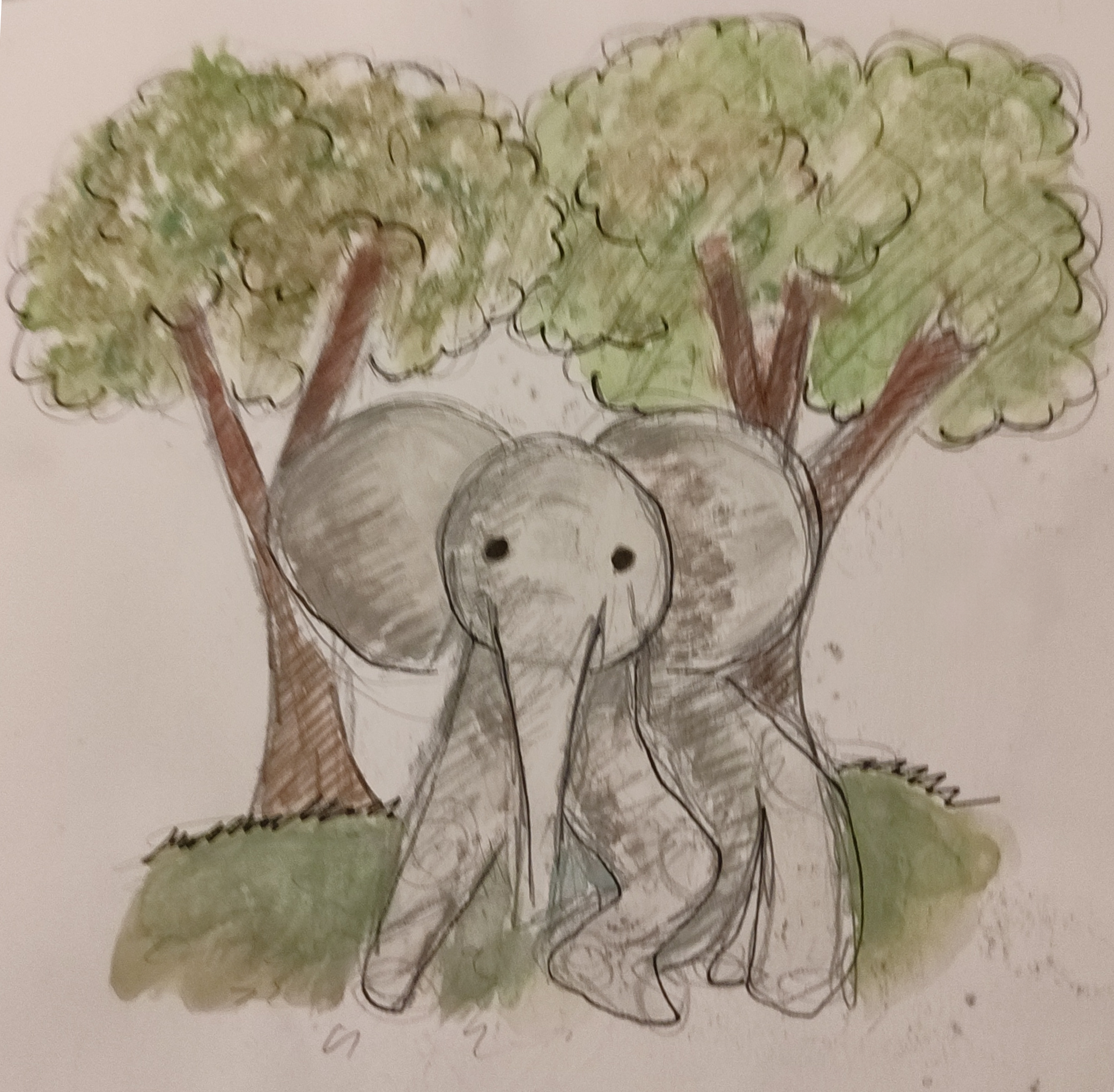 watercolor elephant