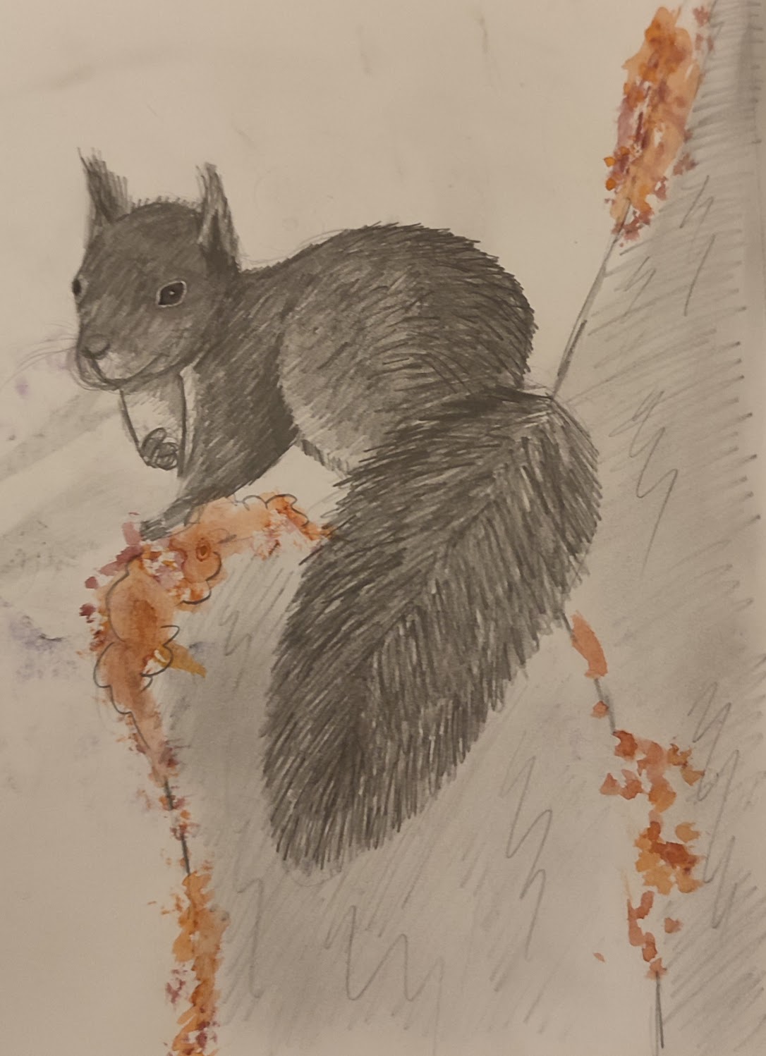 Watercolor squirrel