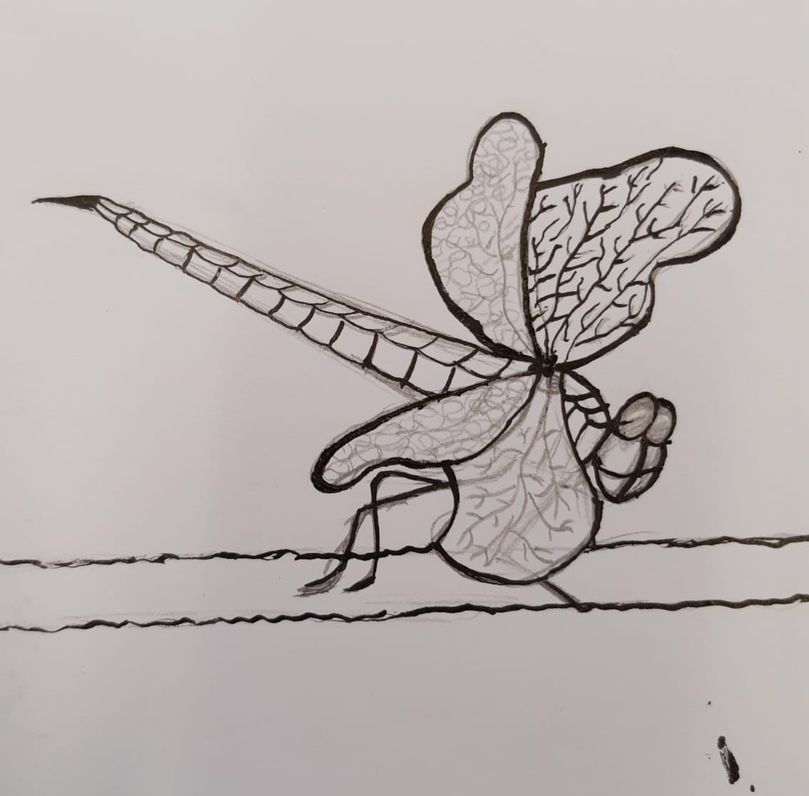indian ink drawing