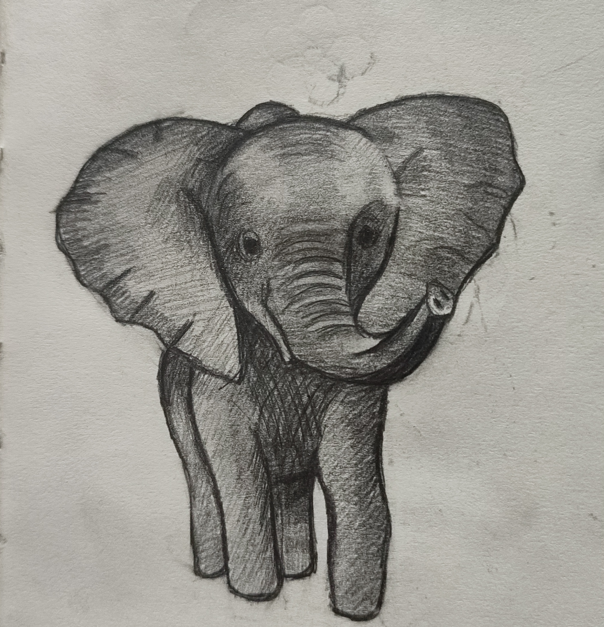 Schets olifant