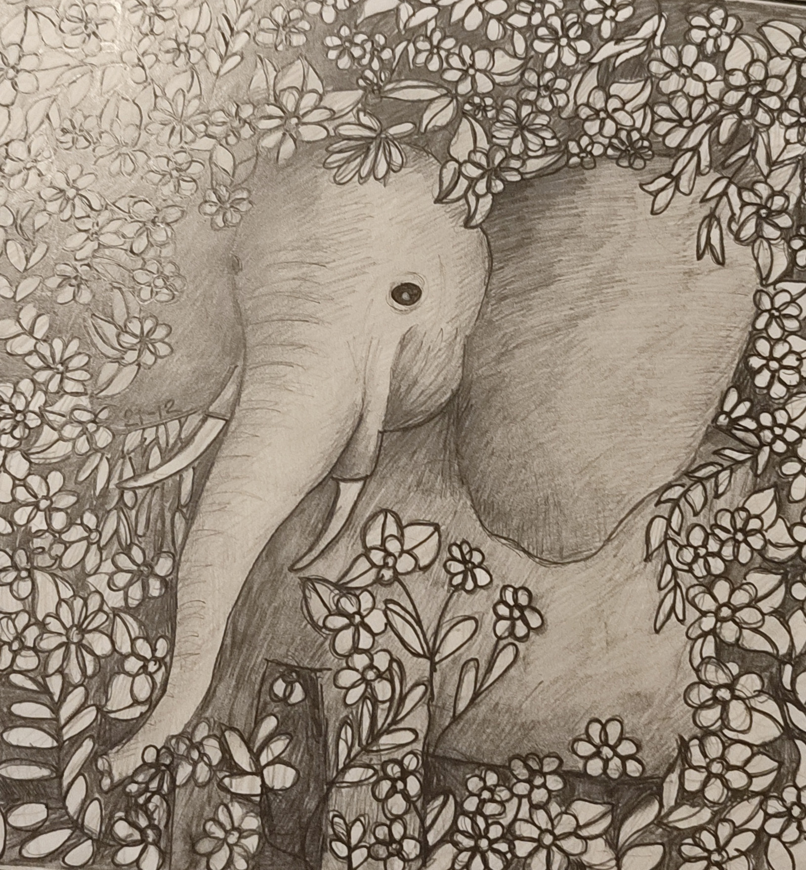 sketch elephant