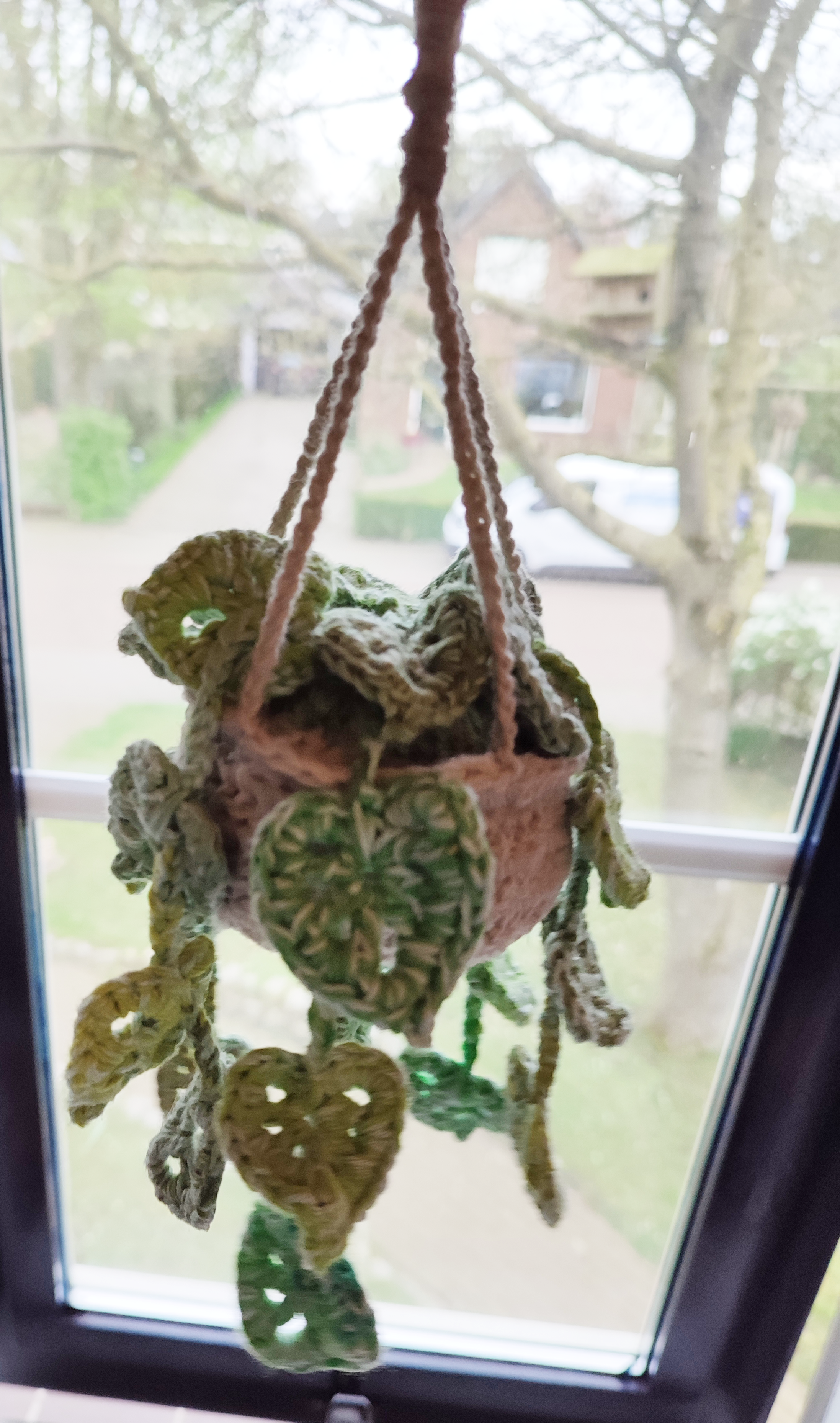 Crochet plant